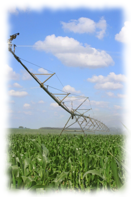 Crop watering system